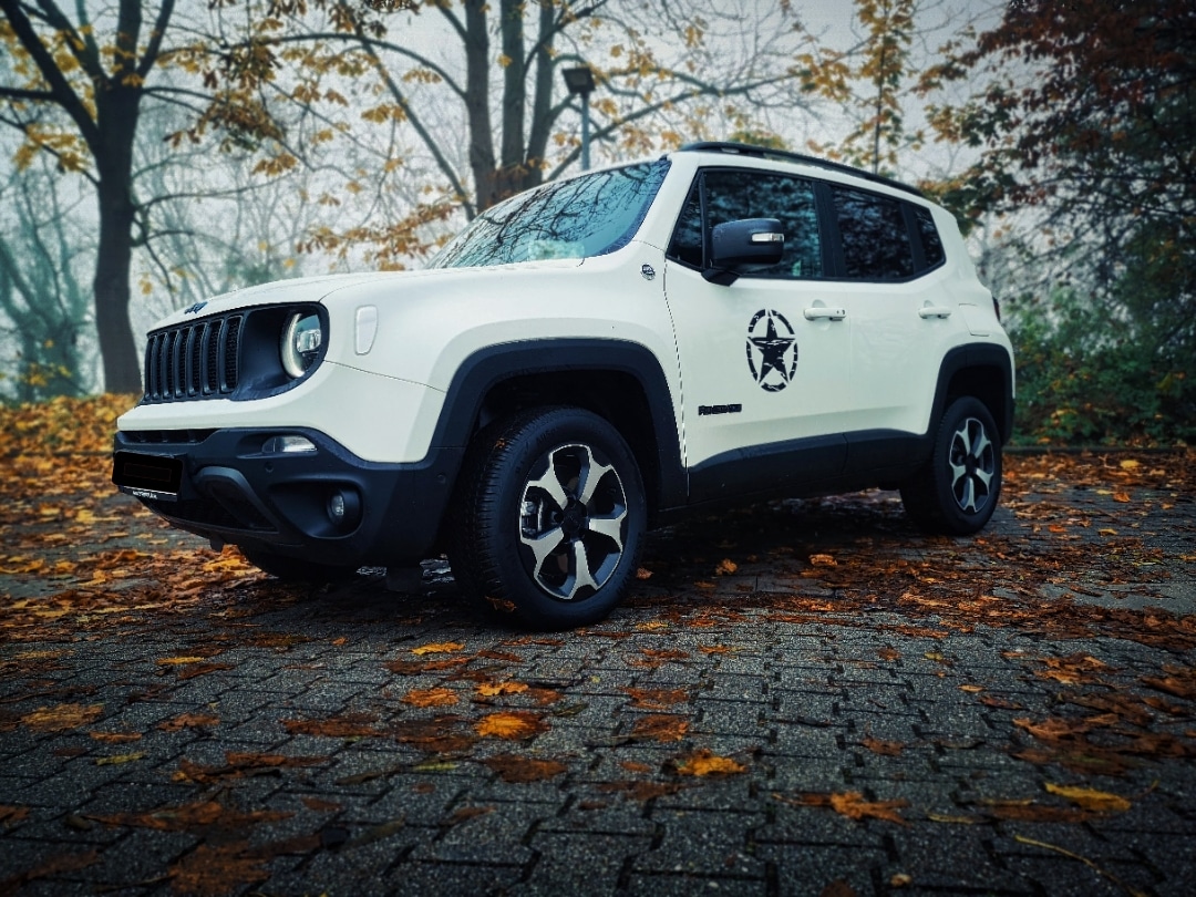 Mein kleiner Polarbear